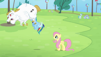 Fluttershy and Rainbow seeing Bulk flying S4E10