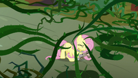 Fluttershy and animals surrounded by vines S9E2