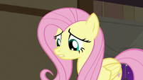 Fluttershy apologizing to the animals S7E5