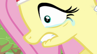 Fluttershy sucking tears in S2E22