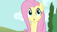 Fluttershy walks to Twilight and Rainbow S4E21