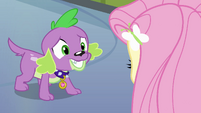 Nervous Spike and Fluttershy EG