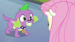 Fluttershy (EG)/Gallery/Equestria Girls | My Little Pony Friendship is  Magic Wiki | Fandom