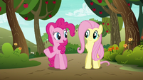 Pinkie Pie --I don't think we need to worry-- S6E18