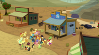 Ponies congregate outside sheriff's office S5E6