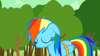 Graynbow Dash has her color back!