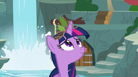 Twilight wearing a crown of twigs and leaves S9E26