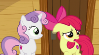 AB "it's lookin' like cutie mark problems are few and far between" S6E4