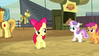 Apple Bloom "if we can get into some of these events" S5E6