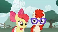 Apple Bloom clueless moment S1E12