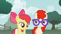 Apple Bloom clueless moment S1E12