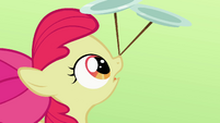 Apple Bloom looking at two plates on nose S2E06