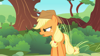 Applejack 'There they are!' S1E23