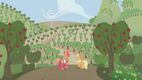 Applejack and Big Mac looking out at apple crop S1E04