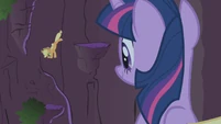 Twilight is grateful for what Applejack did.
