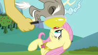 Discord eyes Fluttershy through magnifying glass S03E10