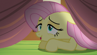 Fluttershy -Oh, look- S5E21