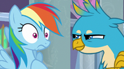 Gallus challenging Rainbow Dash's coolness S8E1