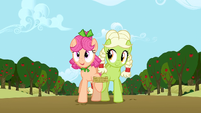 Granny Smith and Apple Rose in the 7 legged race S3E8