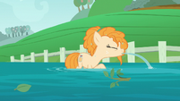 Pear Butter drenched in water S7E13