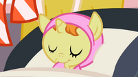 Pumpkin Cake asleep S2E13