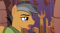 Quibble --classic 'Pony and the Tiger' bit-- S6E13