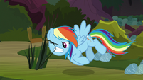 Rainbow picks a cattail with her teeth S8E17