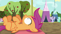 Scootaloo in wide-eyed shock S5E17