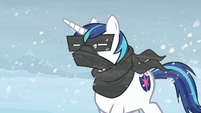 Shining Armor bandana S3E1