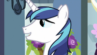 Shining Armor happy to see Cadance.