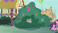 Spike and Discord look at Sugar Belle from bushes S8E10