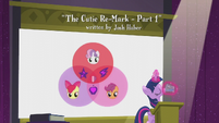 A slide with the Cutie Mark Crusaders.