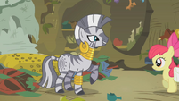 Zecora Hoof Raised S1E09