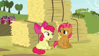 Apple Bloom 'wants this to be like a super-awesome reunion' S3E08