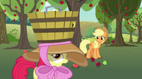 Apple Bloom failing to catch apples in her bucket S7E9