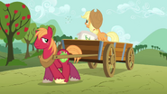 Applejack and Big Mac planting seeds S03E13