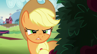 Applejack angry at Svengallop S5E24