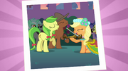 Applejack playing the fiddle S2E26
