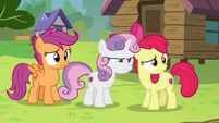 Cutie Mark Crusaders looking at Kettle Corn S7E21