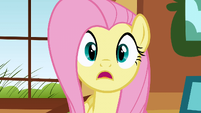 Fluttershy realizing she's late for the brunch