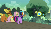 Fluttershy, Twilight, and Cattail approach the flash bee tree S7E20