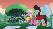 Long line of sick ponies at Meadowbrook's house S7E20