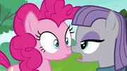 Maud Pie "you gave away your party cannon?" S6E3.png