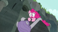Pinkie Pie "don't say that!" S7E4