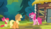Pinkie Pie 'Oh, that's perfect!' S4E09