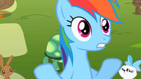 Rainbow Dash 'but cooler' S2E07