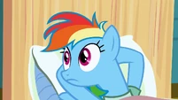 Rainbow Dash say what S2E16