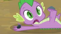 Spike saves Applejack 2 S3E09