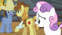 Braeburn's injury makes Sweetie Belle uneasy about participating in a rodeo.