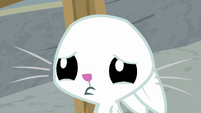 Angel pouting sadly at Fluttershy S9E18